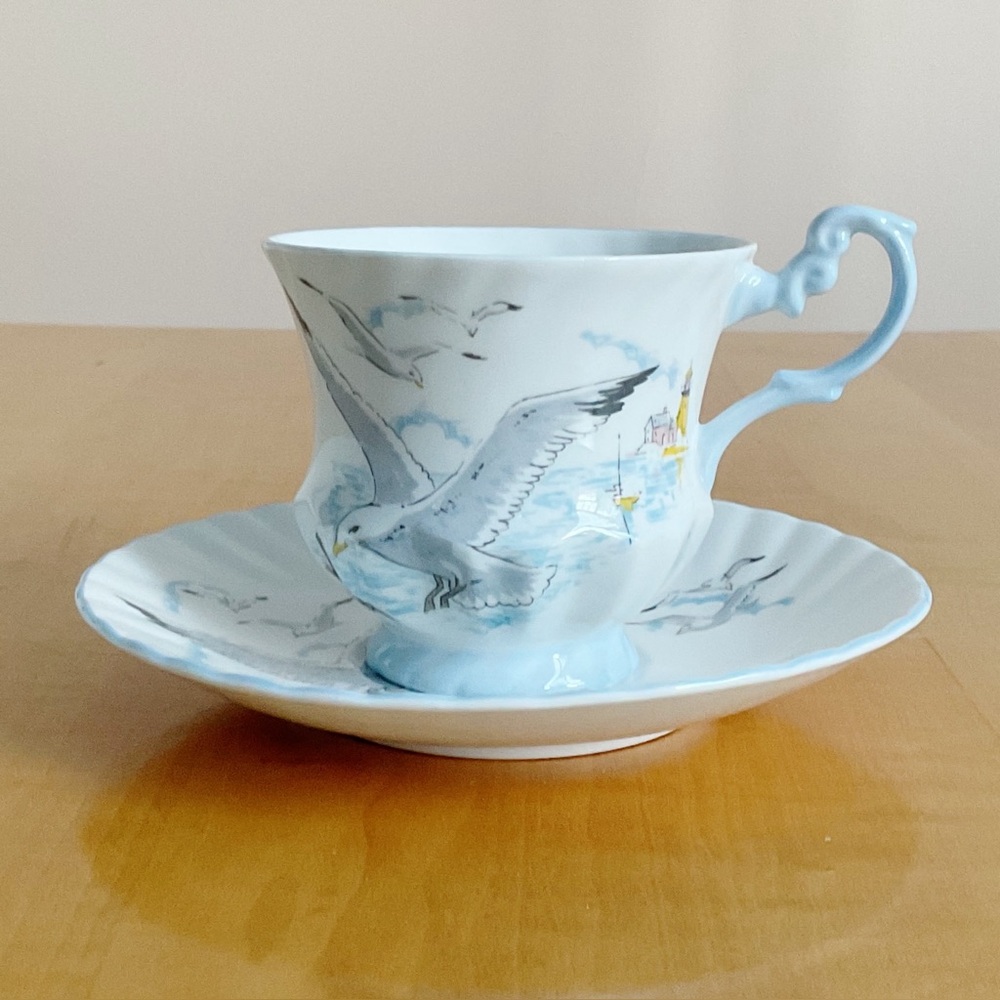 Queen’s Rosina Seagull Fluted Cup & Saucer Set | Fine Bone China England